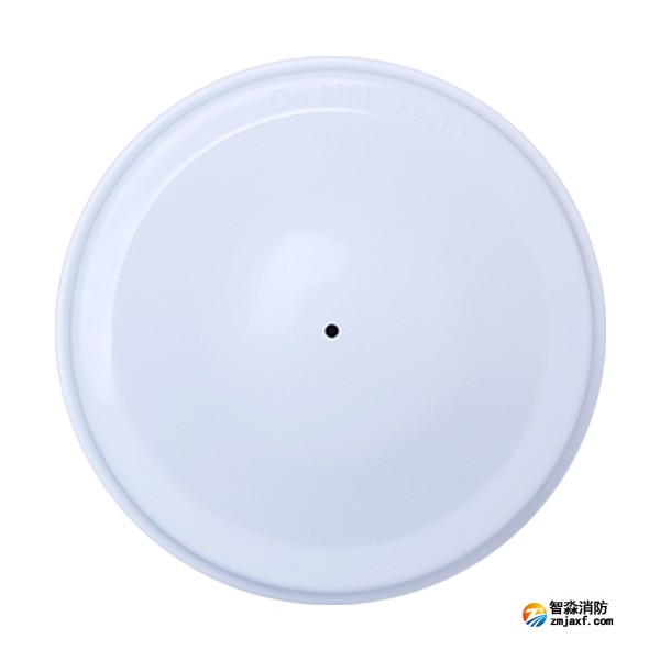 海灣GSTI-9402火災(zāi)聲警報(bào)器