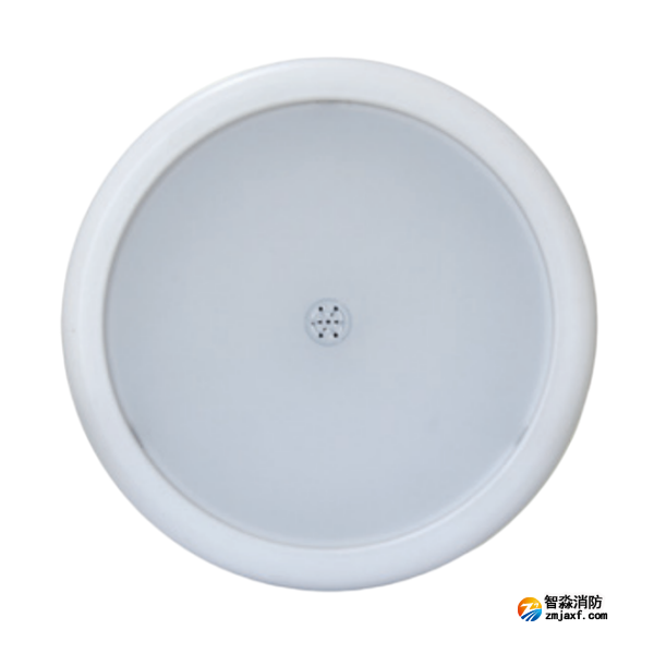 海灣HW-ZFJC-E12W-N653SG集中電源集中控制型消防應(yīng)急照明燈具