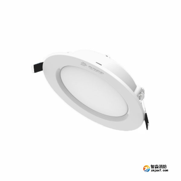 青鳥J-ZFZC-E12W-16Q1D自帶電源集中控制型消防應(yīng)急照明燈具 嵌頂