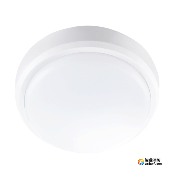 青鳥J-ZFJC-E5W-17X2A集中電源集中控制型消防應(yīng)急照明燈具(吸頂)