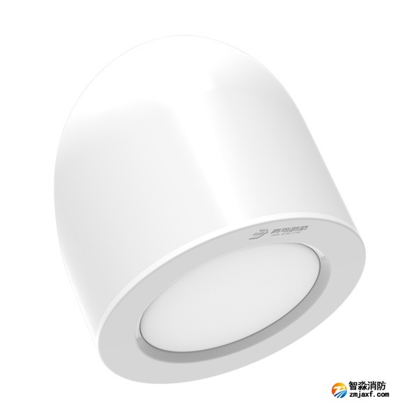 青鳥J-ZFJC-E5W-17Z7LA集中電源集中控制型消防應(yīng)急照明燈具
