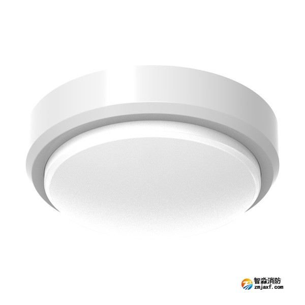 青鳥J-ZFJC-E8W-17X3LA集中電源集中控制型消防應(yīng)急照明燈具