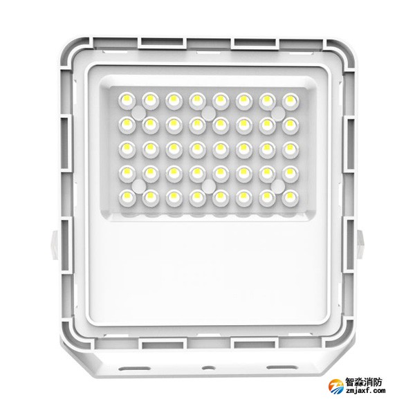 青鳥J-ZFJC-E100W-18Z5A集中電源集中控制型消防應急照明燈具