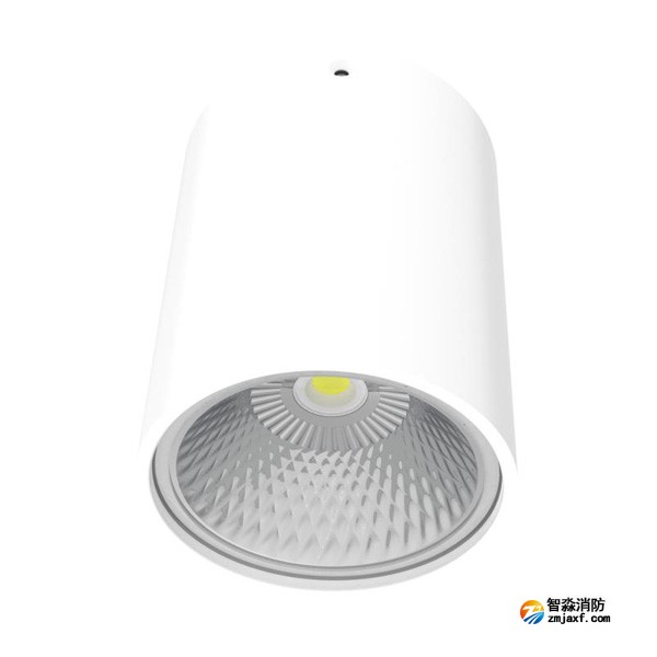 青鳥J-ZFJC-E15W-18Z1A集中電源集中控制型消防應急照明燈具