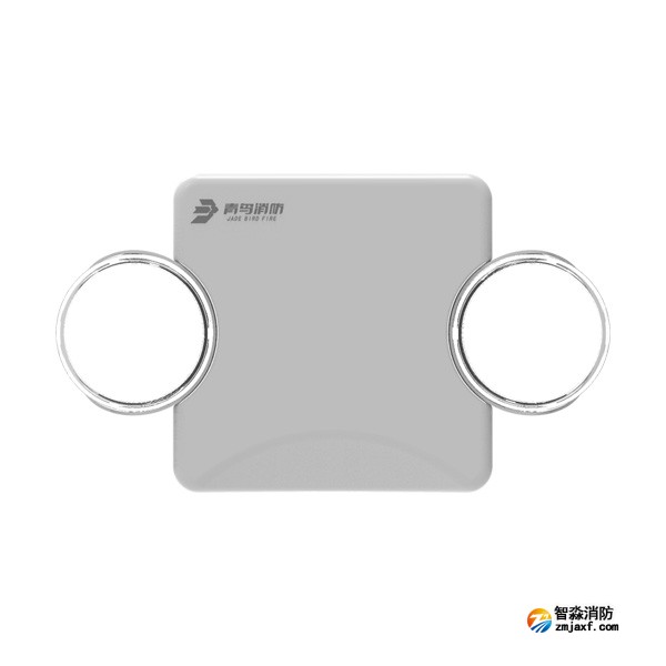 青鳥J-ZFJC-E3W-17B5LA集中電源集中控制型消防應急照明燈具
