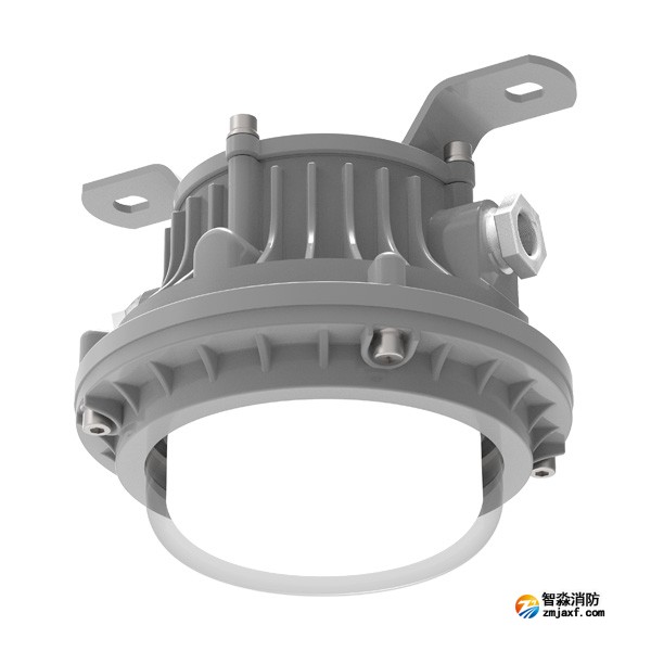 青鳥J-ZFJC-E5W-16X5-Ex集中電源集中控制型消防應急照明燈具