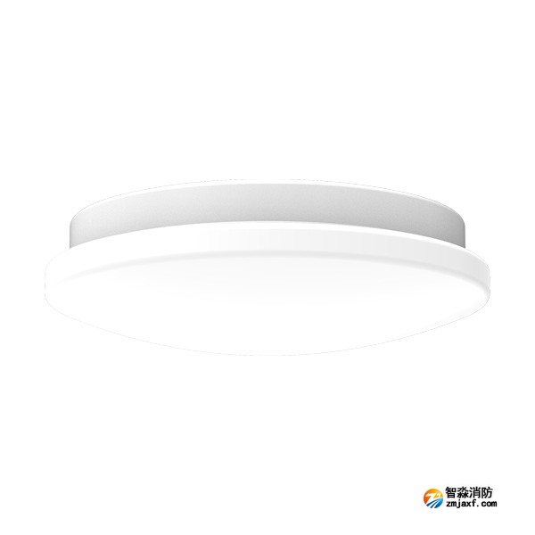 青鳥J-ZFJC-E8W-16X7A集中電源集中控制型消防應急照明燈具