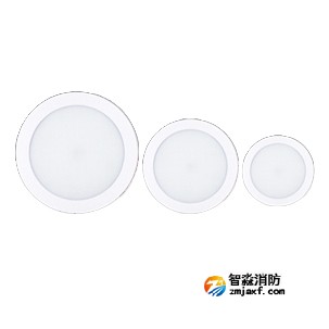 利達(dá)X4000系列（吸頂式）集中電源集中控制型消防應(yīng)急照明燈具