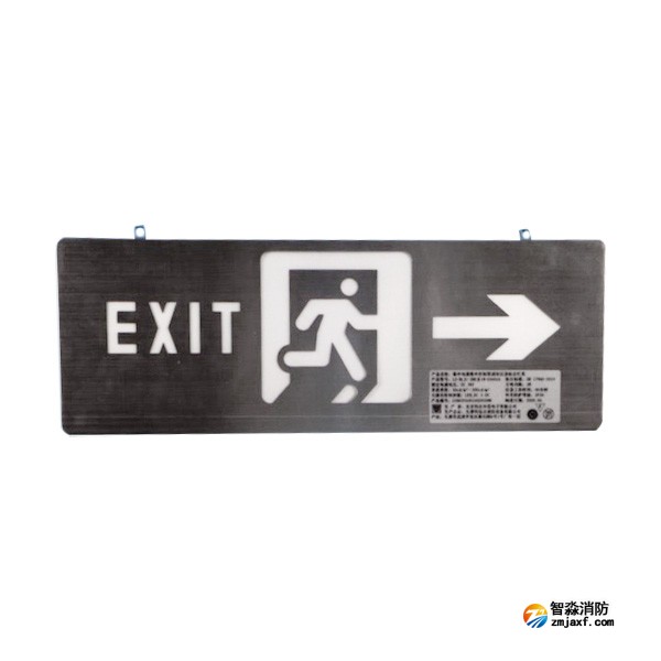 利達(dá)LD-BLJC-2REII1W-D3005A集中電源集中控制型消防應(yīng)急標(biāo)志燈具