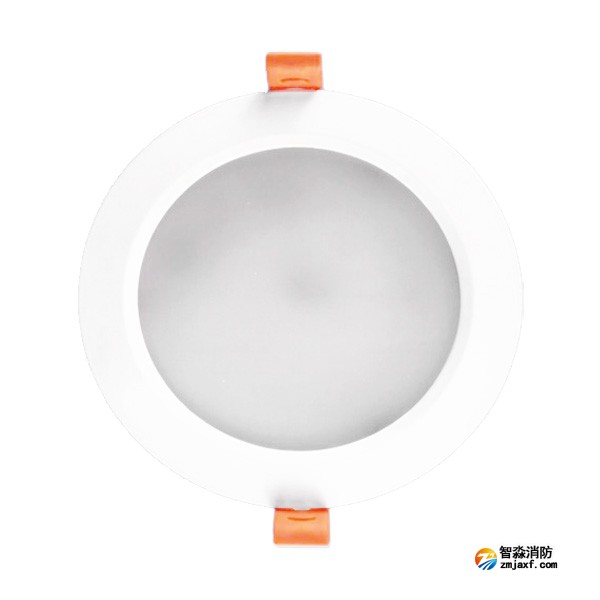 利達(dá)LD-ZFJC-E3W-Q4010A集中電源集中控制型消防應(yīng)急照明燈具