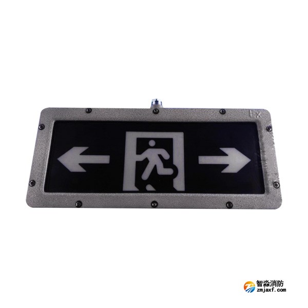 利達(dá)LD-BLJC-2LROE Ⅱ 1W-D3200Ex集中電源集中控制型消防應(yīng)急標(biāo)志燈具 防爆