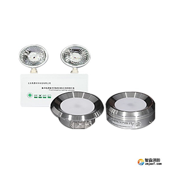 利達GD-ZFJC-E5W-605Q5(5W)集中電源集中控制型應急照明燈具