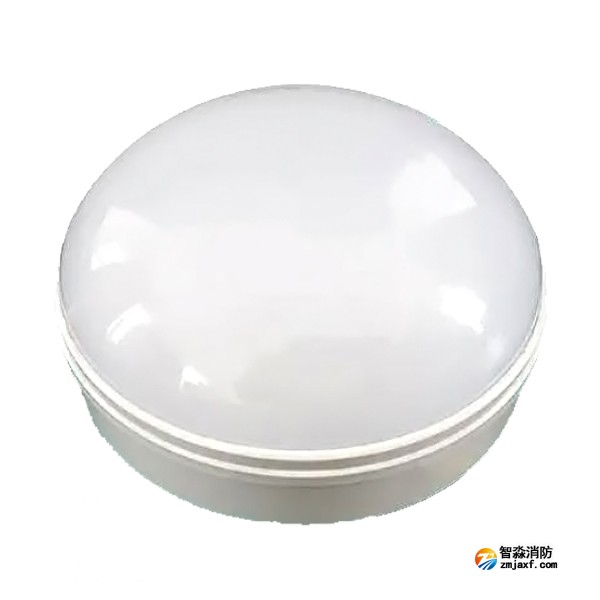 泰和安TS-ZFJC-E3W-6617/TS-ZFJC-E5W-6618二線制應(yīng)急照明燈具