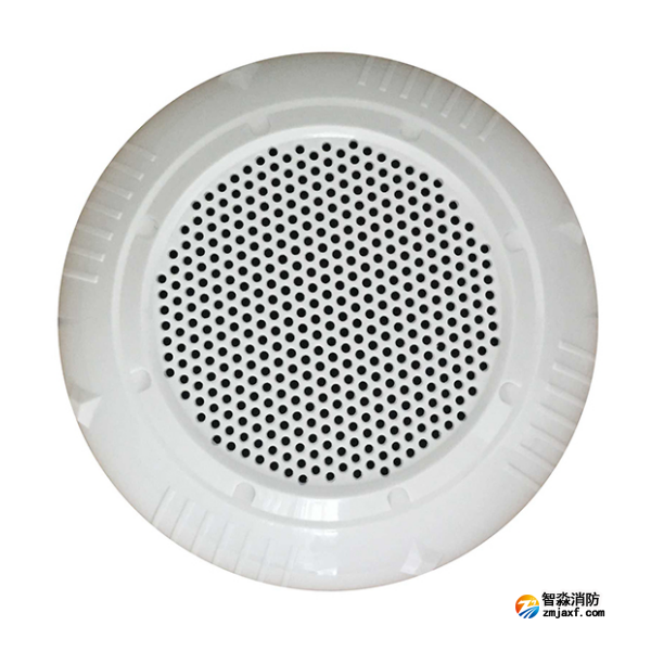 泰和安YXX3-51吸頂式揚(yáng)聲器