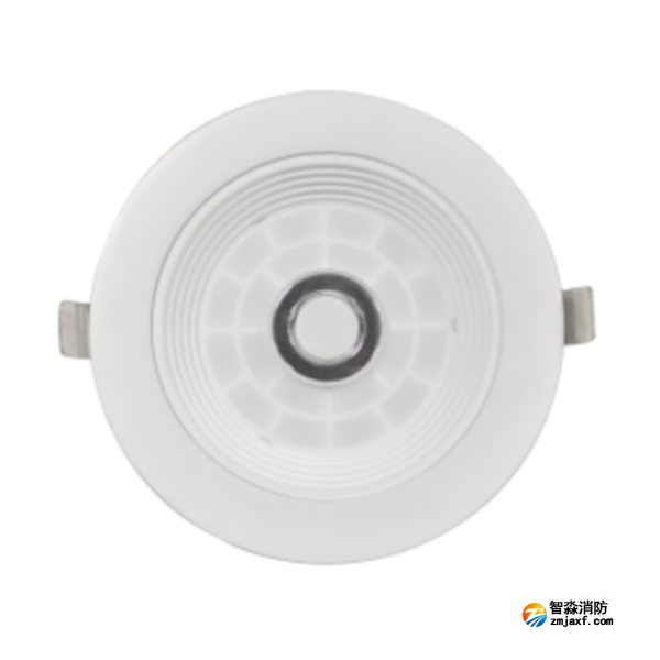 泰和安TS-ZFJC-E5W-6616A集中電源集中控制型消防應(yīng)急照明燈具