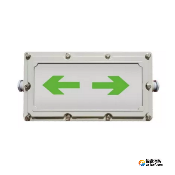 泰和安SS-BLJC-1LROEⅠ1W-6423 防爆型 集中電源集中控制型消防應(yīng)急標(biāo)志燈具