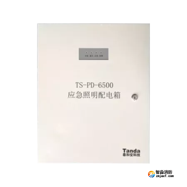 泰和安TS-PD-6500應(yīng)急照明配電箱