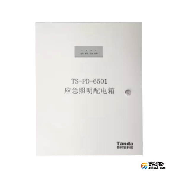 泰和安TS-PD-6501應(yīng)急照明配電箱