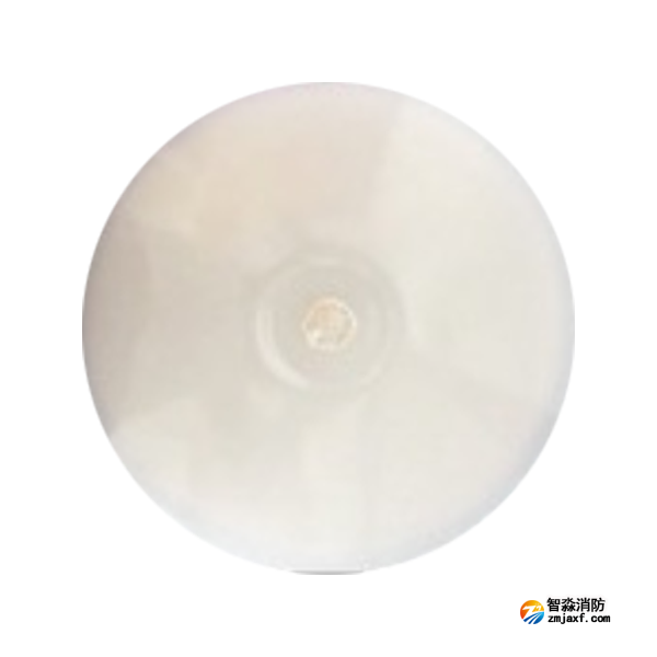 泰和安TS-ZLZC-E8W-6643自帶蓄電池集中控制型消防應(yīng)急照明燈具 吸頂式