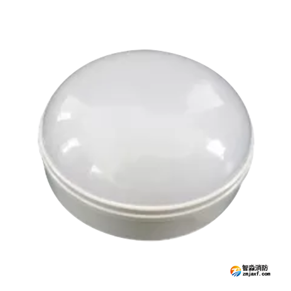 泰和安TS-ZLZC-E5W-6640G自帶蓄電池集中控制型消防應(yīng)急照明燈具 吸頂式