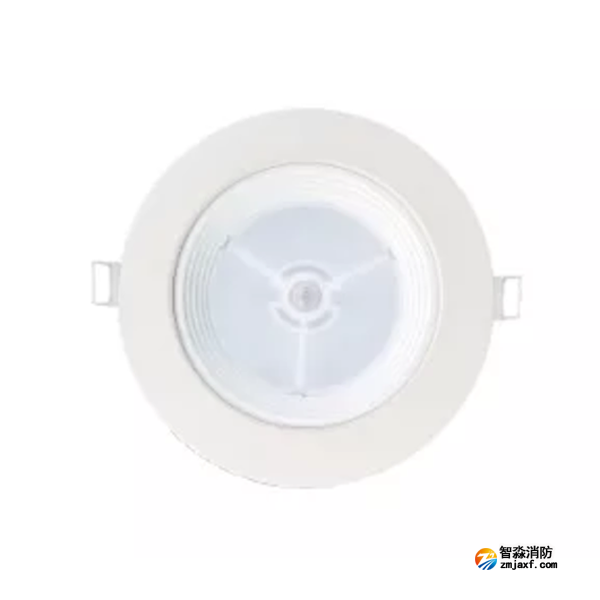 泰和安TS-ZFJC-E12W-6612B集中電源集中控制型消防應(yīng)急照明燈具 嵌頂式