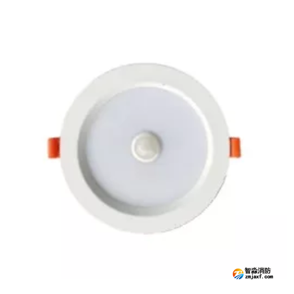 泰和安TS-ZFJC-E5W-6624G集中電源集中控制型消防應(yīng)急照明燈具 嵌頂式