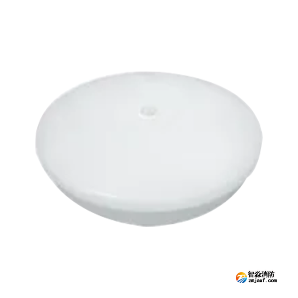 泰和安TS-ZFJC-E8W-6627G集中電源集中控制型消防應(yīng)急照明燈具 吸頂式