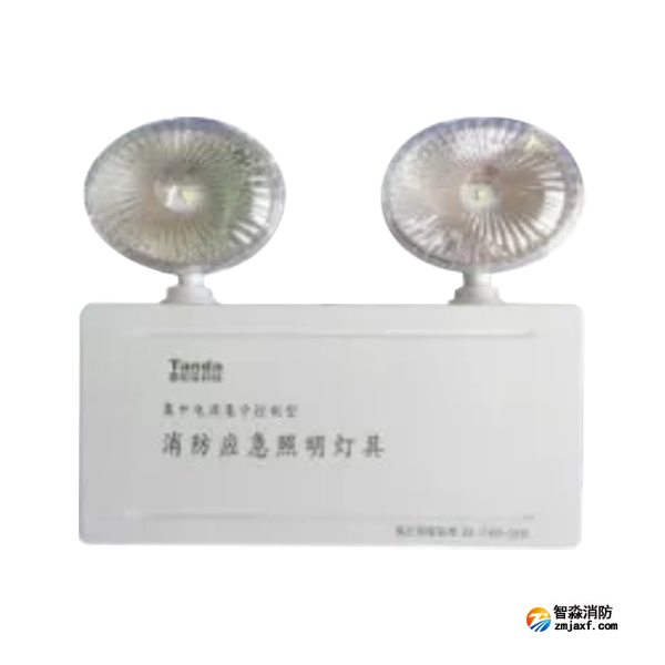 泰和安TS-ZFJC-E3W-6600A/TS-ZFJC-E5W-6600B集中電源集中控制型消防應(yīng)急照明燈具 金屬雙頭燈