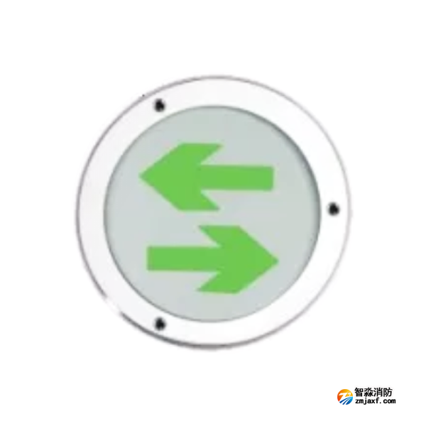 泰和安TS-BLJC-1LREⅠ0.5W-6402A/TS-BLJC-1LEⅠ0.5W-6401A集中電源集中控制型消防應(yīng)急標志燈具 地埋標志燈