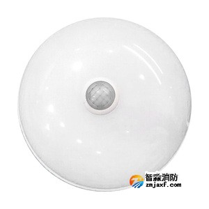 泰和安TS-ZFJC-E5W-6618G集中電源集中控制型消防應(yīng)急照明燈具 吸頂式