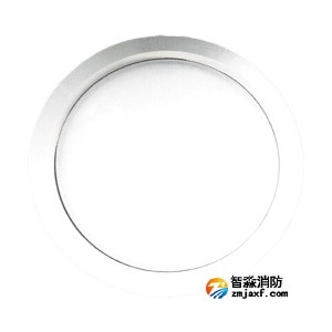 泰和安TS-ZFJC-E5W-6625集中電源集中控制型消防應(yīng)急照明燈具