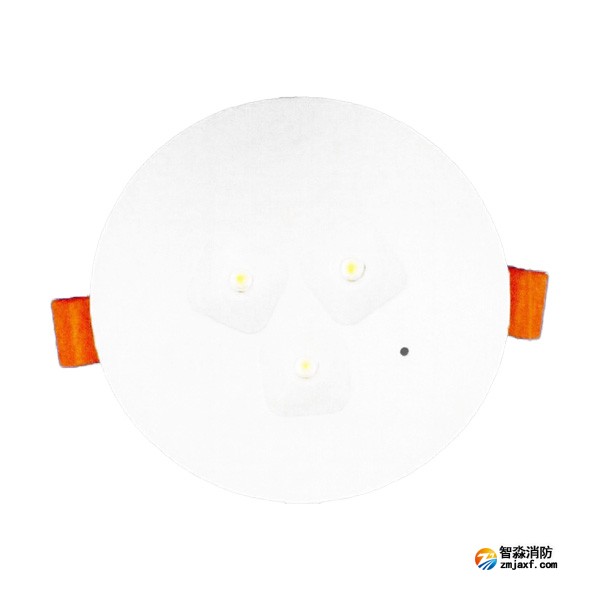 泰和安TS-ZFJC-E3W-6661集中電源集中控制型消防應(yīng)急照明燈具