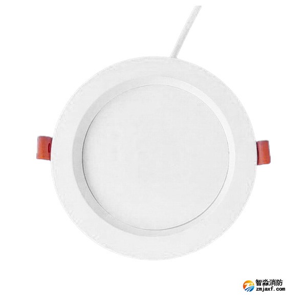 泰和安TS-ZFJC-E3W-6623A集中電源集中控制型消防應(yīng)急照明燈具 （嵌頂式）