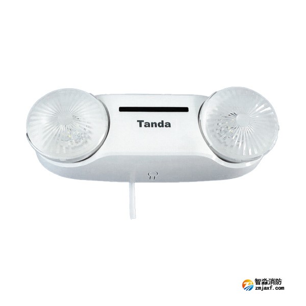 泰和安TS-ZFJC-E3W-6602A集中電源集中控制型消防應(yīng)急照明燈具