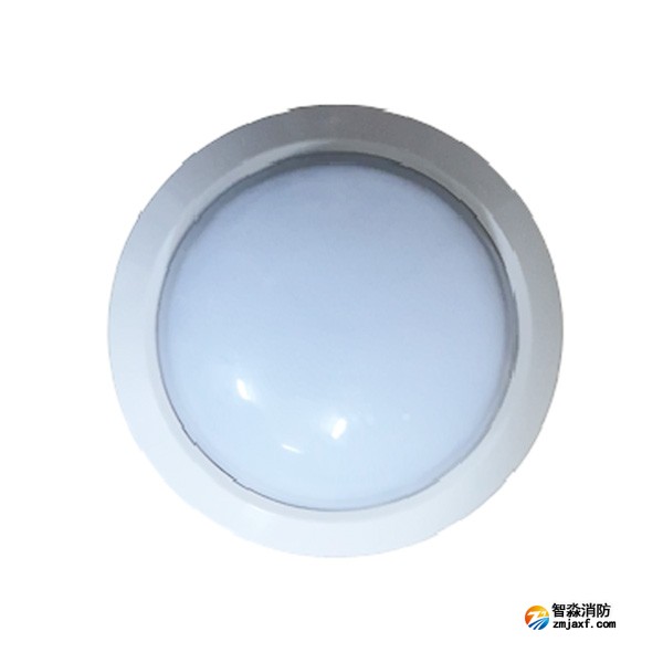 泰和安TS-ZFJC-E3W-6615A集中電源集中控制型消防應(yīng)急照明燈具（吸頂式）