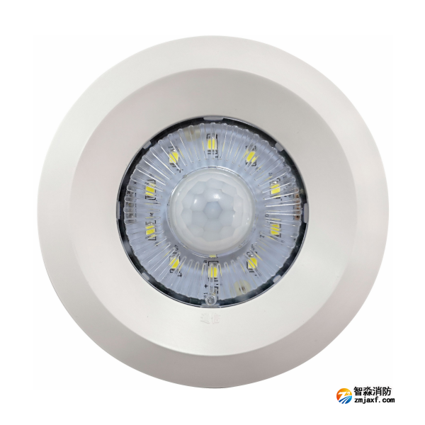 依愛EI-ZFJC-E2W-5405X-2HW集中電源集中控制型消防應(yīng)急照明燈具 可紅外感應(yīng)