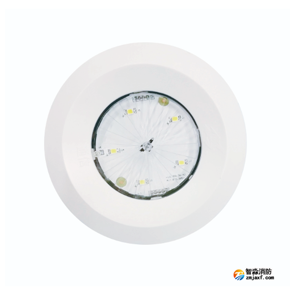 依愛(ài)EI-ZFJC-E3W-8643X集中電源集中控制型消防應(yīng)急照明燈具