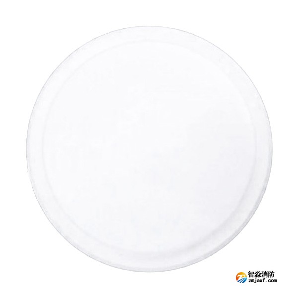 依愛EI-ZFJC-E3W-8643NXLD集中電源集中控制型消防應(yīng)急照明燈具 吸頂式