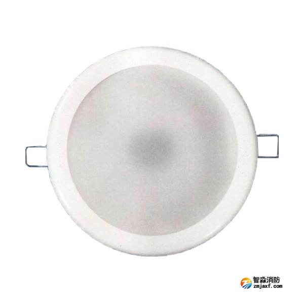 依愛EI-ZFJC-E3W-8643BQ集中電源集中控制型消防應(yīng)急照明燈具 嵌頂式