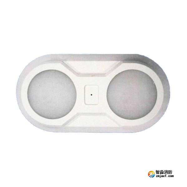 依愛EI-ZFJC-E5W-S8645BB集中電源集中控制型消防應(yīng)急照明燈具 雙頭壁掛