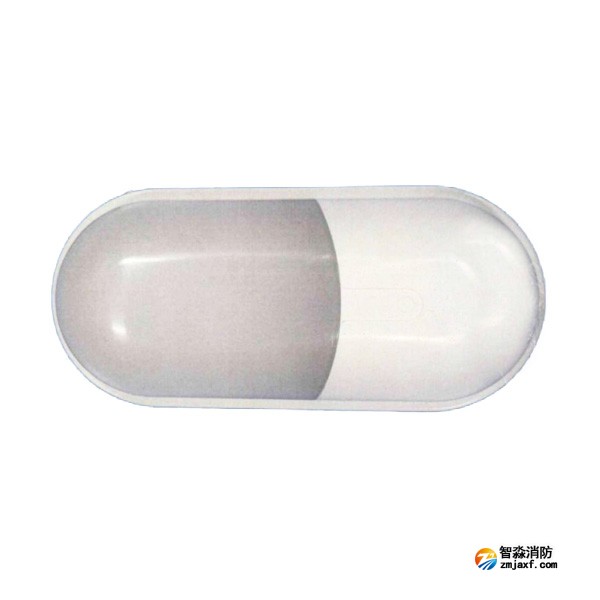 依愛EI-ZFJC-E5W-8645BB集中電源集中控制型消防應(yīng)急照明燈具 單頭壁掛