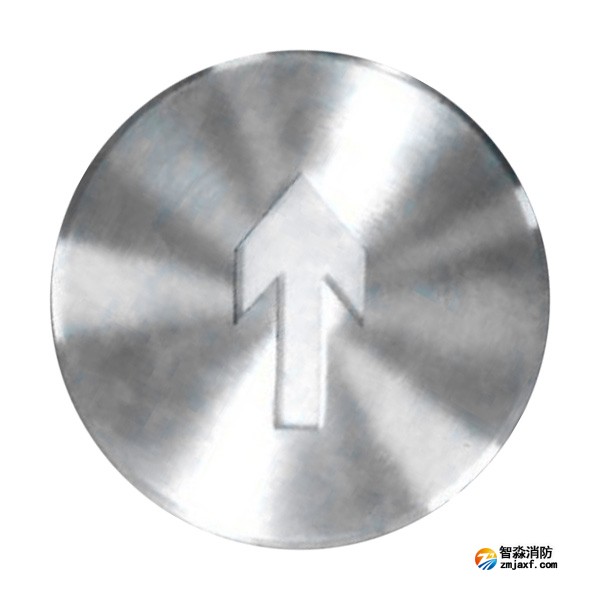 依愛EI-BLJC-1LEⅠ1W-8639NM集中電源集中控制型消防應(yīng)急標(biāo)志燈具 單面 地埋