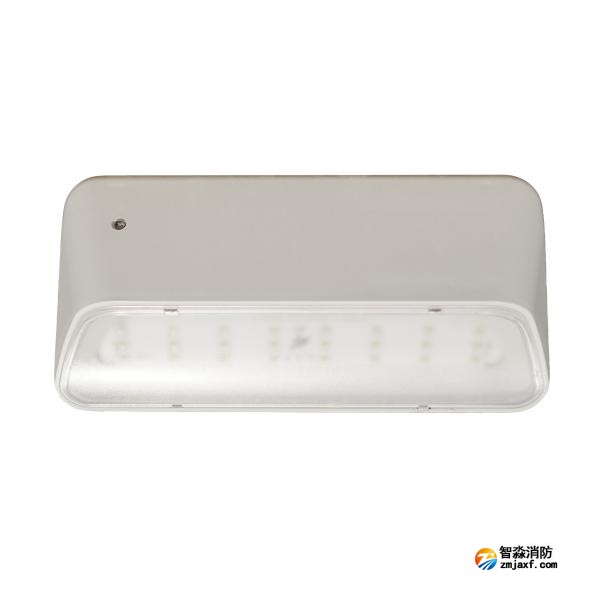 依愛EI-ZFJC-E5W-8645GB集中電源集中控制型消防應(yīng)急照明燈具