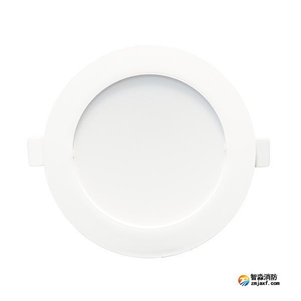 依愛EI-ZFJC-E5W-8645GQ集中電源集中控制型消防應(yīng)急照明燈具