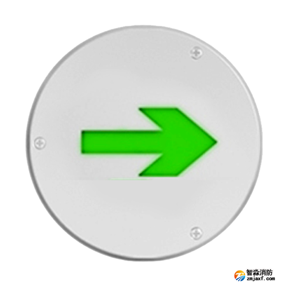 三江地埋單向標(biāo)志燈SJ-BLJC-Ⅰ1LE3W/D2型 SJ-BLJCⅠ1LRE3W/DZ1型