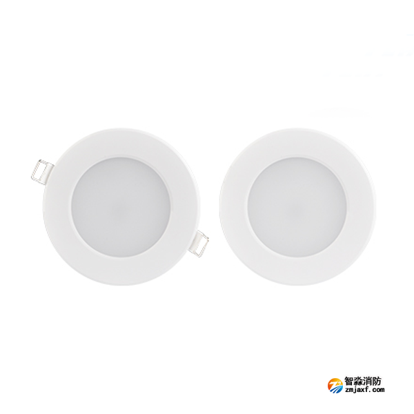 三江SJ-ZFJC-E5W/ZQ53集中電源集中控制型消防應(yīng)急照明燈具