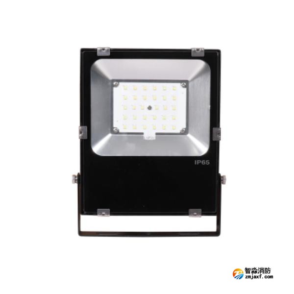 三江SJ-ZFJC-E30W/B031集中電源集中控制型消防應(yīng)急照明燈具 B型