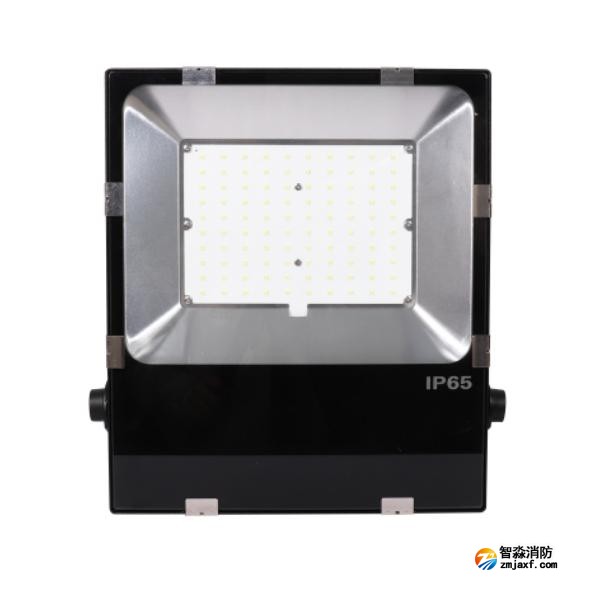 三江SJ-ZFJC-E100W/B011集中電源集中控制型消防應(yīng)急照明燈具 B型