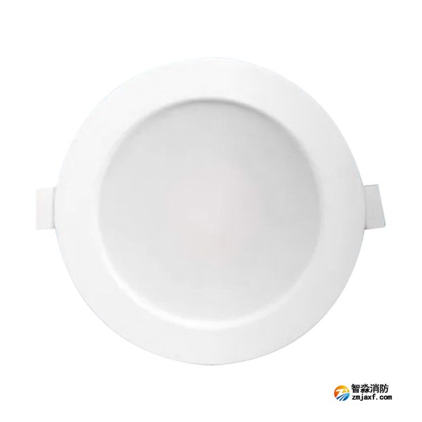 三江SJ-ZFJC-E8W/ZQ8S集中電源集中控制型消防應(yīng)急照明燈具 8W壁掛