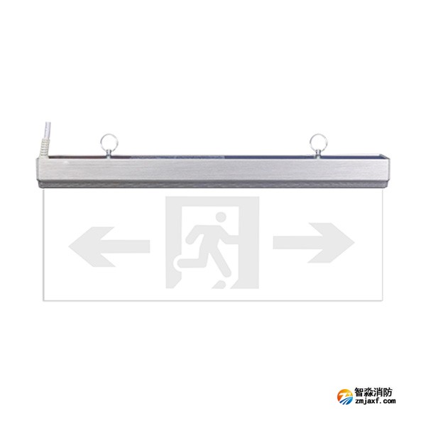 三江SJ-BLJC-Ⅱ2LRE1W/F2181集中電源集中控制型消防應急標志燈具 雙面雙向